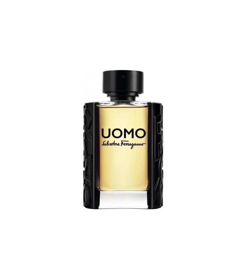 FERRAGAMO UOMO 100ml HM